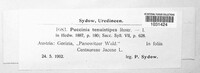 Image Associated With the Occurence